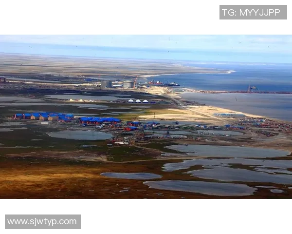 亚马尔地区的能源战略与全球气候变化的应对措施探讨